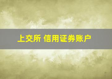 上交所 信用证券账户